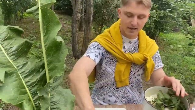 Сочный вкусный шашлык из куриных бедрышек от шеф повара Евгения Осина смотреть онлайн