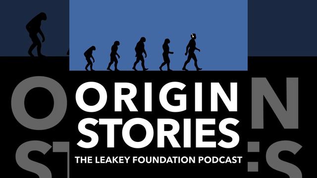 Episode 08: Being Human with Robert Sapolsky смотреть онлайн