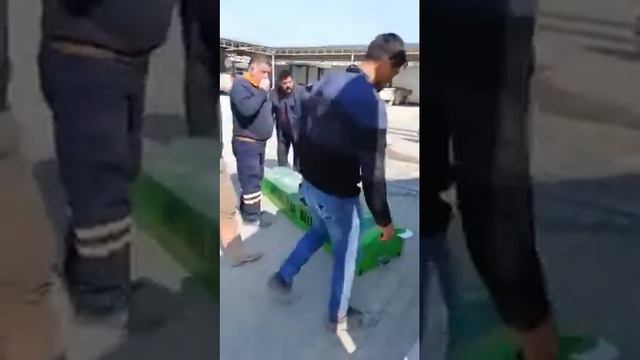Труп живой смотреть онлайн