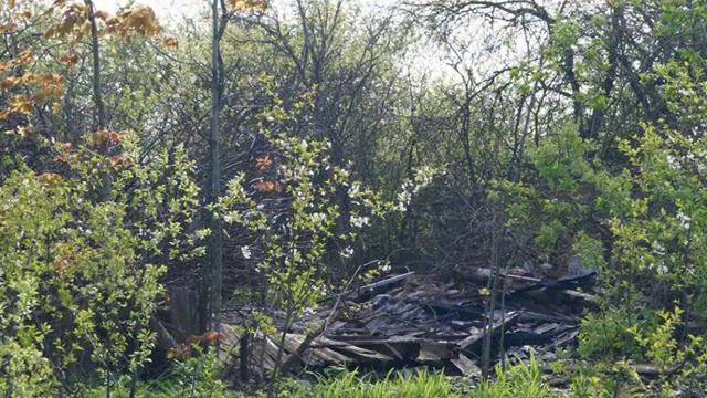 Поставьте памятник ДЕРЕВНЕ смотреть онлайн