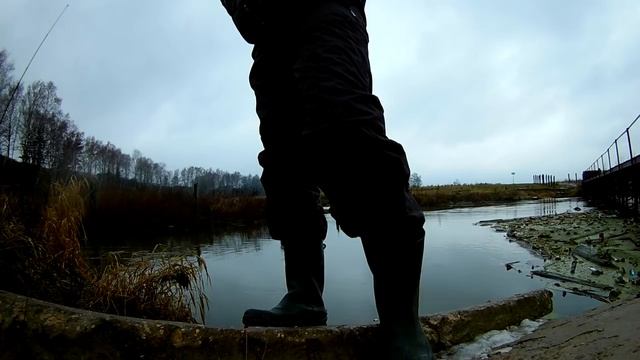 Декабрьский азарт, бешеный клев МО, ужасный червь, окунь и щука смотреть онлайн