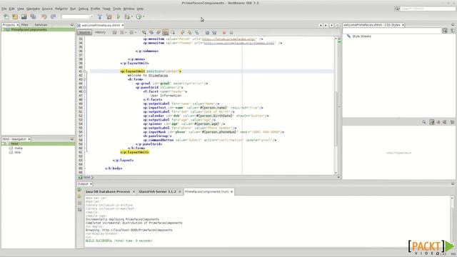 Java EE Development with NetBeans 7 смотреть онлайн