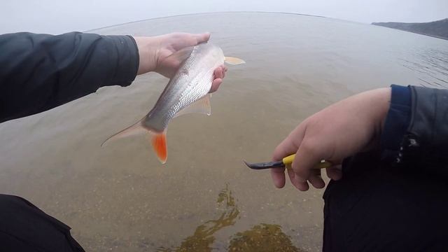 Береговая весенняя рыбалка на Амуре, Верхогляд, Монгольский краснопёр, Jigging, AmurJigging !!!!! смотреть онлайн