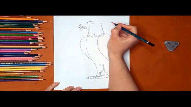 Как нарисовать орла. Онлайн-школа рисования "Малевашки" смотреть онлайн