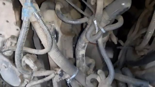 КАВЗ 4238 НЕ ЗАВОДИТСЯ ВЕСНА 2021