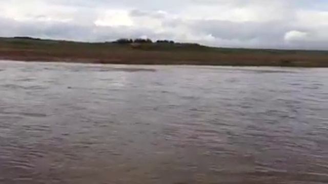 Сарысу течет смотреть онлайн