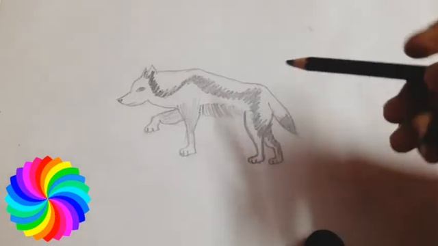 Wolf Sketch | #trending #viral #drawing #wolf смотреть онлайн