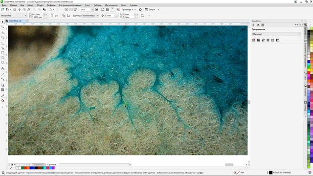 Вторая жизнь растений - красители и катушки (20.04.2024) смотреть онлайн