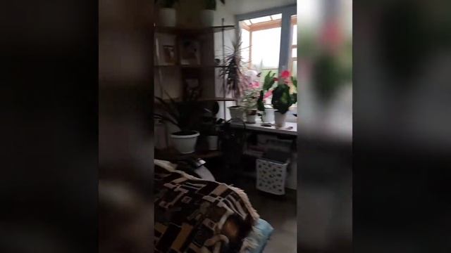 двухкомнатная квартира 42 кв. м. на Шлаковом #недвижимостьпавлово #риэлторпавлово смотреть онлайн