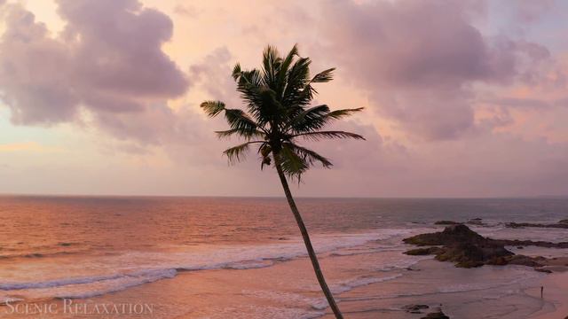 india 4K - Живописный Фильм-релаксация С Успокаивающей Музыкой смотреть онлайн