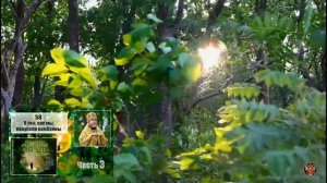 «НЕСВЯТЫЕ СВЯТЫЕ». Часть 3. 58. О том, как мы покупали комбайны.