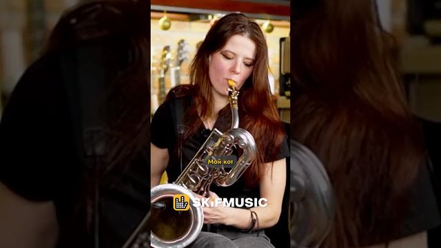 МОЖНО ЛИ МЯУКНУТЬ НА САКСОФОНЕ? | SKIFMUSIC.RU смотреть онлайн