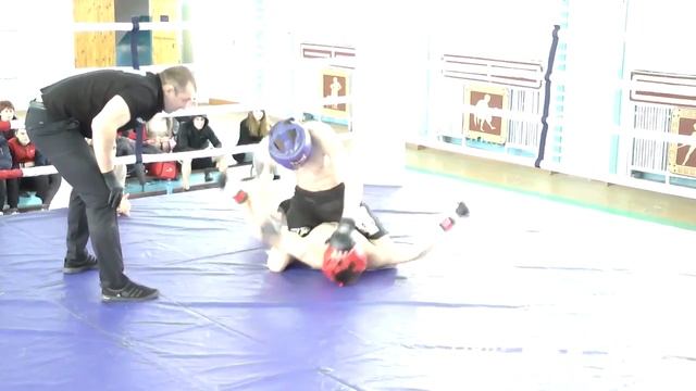 FN SLT ММА открытй ринг г.Смоленск 23.04.2016