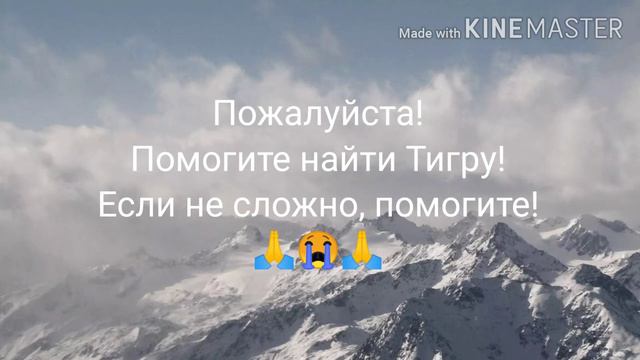 ПРОПАЛА СОБАКА! ПОМОГИТЕ НАЙТИ..... смотреть онлайн
