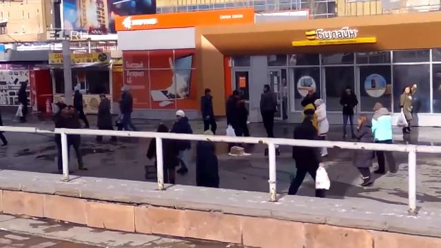 Очевидцы засняли конфликт между зоозащитницей и женщиной, собирающей деньги на щенков смотреть онлайн