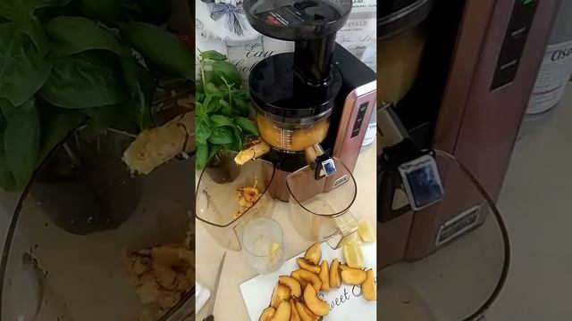 Hurom Alpha HZ lemoniada brzoskwiniowo-cytrynowa смотреть онлайн