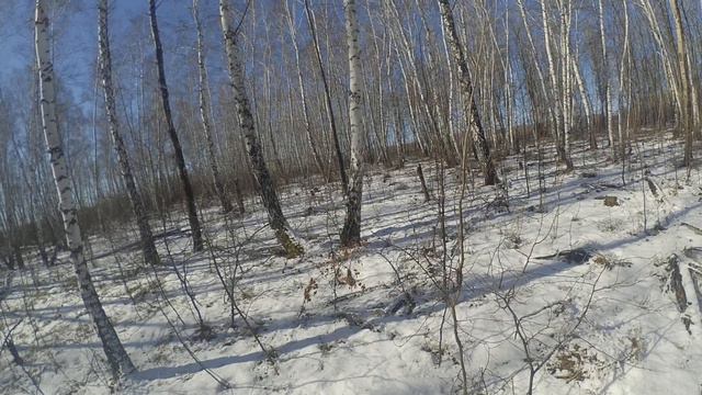Выжлец и выжловка по мокрому снегу смотреть онлайн