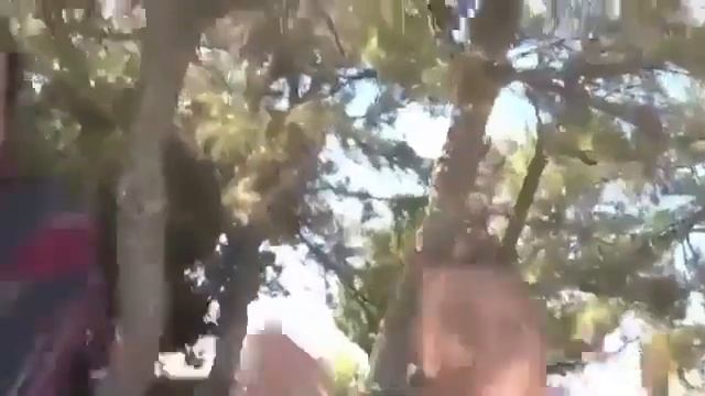 Орушая толпа негров самый разгар смотреть онлайн