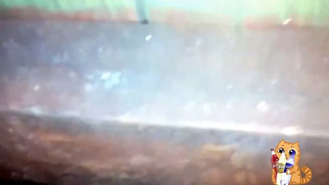 А мой батя травы пьет смотреть онлайн