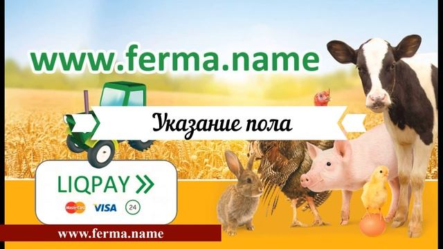 РАЗВЕДЕНИЕ ЛОШАДЕЙ [Программа Ferma] (Выпуск — 29) смотреть онлайн