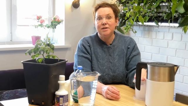 ПРАВИЛЬНЫЕ ПОЛИВЫ РАССАДЫ От воды зависит многое! смотреть онлайн