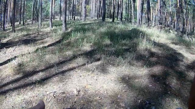 В поиске на хуторах Прибор RUTUS Ultima(РУТУС Ультима) в работе! КОП 2020