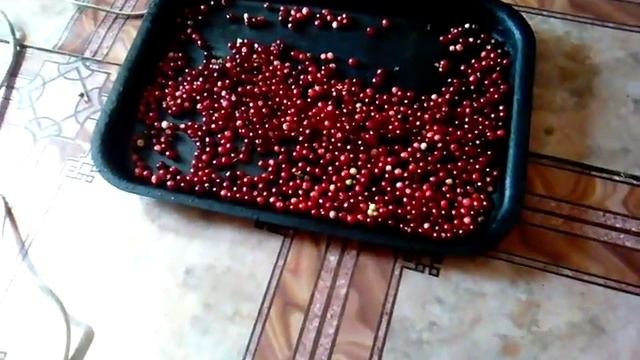 Лайв хак для ягод.Быстро чистим . смотреть онлайн