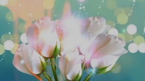 ФУТАЖ БЕЛЫЕ РОЗЫ