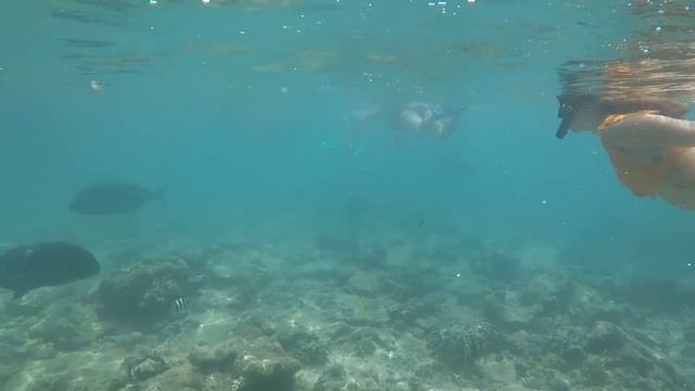 The Most Beautiful Island in the Philippines?! (Island Hopping in El Nido, Palawan) смотреть онлайн