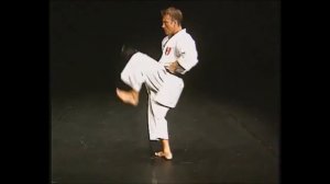 Хейан Сандан+Бункай в исполнении трёхкратного чемпиона мира/Heian Sandan