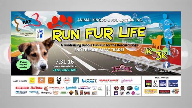 Run Fur Life | Daryl Andrew Supan | Ezy Dog Philippines | INSOMANILA смотреть онлайн