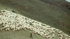 Моя Кабардино-Балкария.