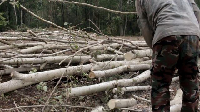 Вот Что Может Маленькая пила в лесу!! Husqvarna 130.mp4 смотреть онлайн