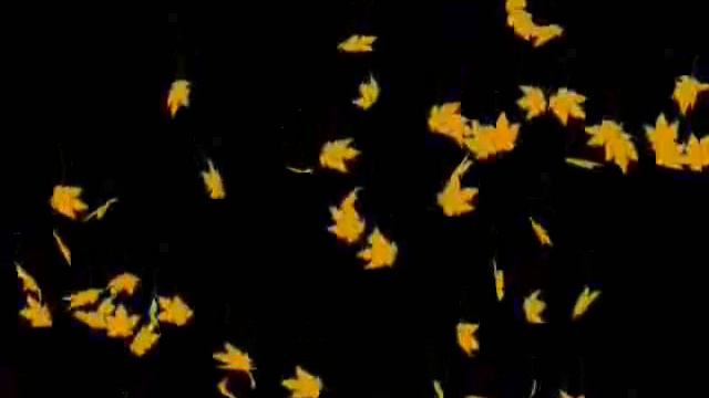 Мы нуждаемся друг в друге. смотреть онлайн