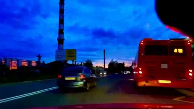 Мир глазами моего кота смотреть онлайн