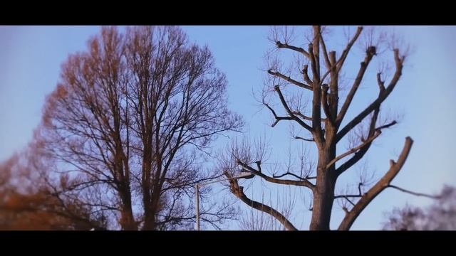 Canon 1100D Quality test[Picture & Video]HD 720p смотреть онлайн