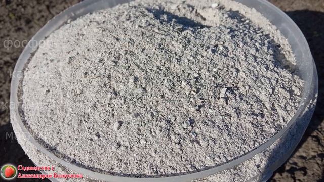 Посадка томатов Что положить в лунку при посадке помидор смотреть онлайн