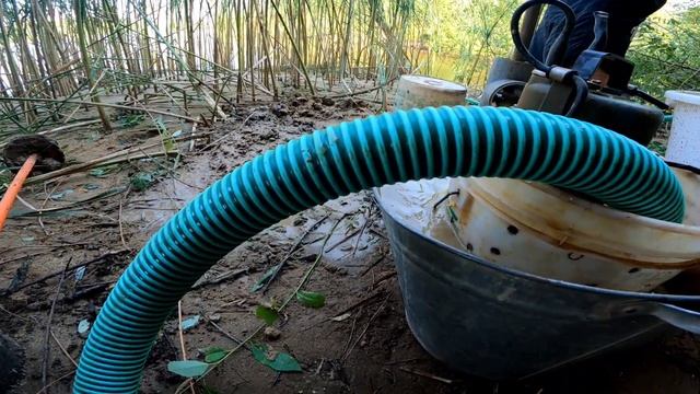 Абиссинка на известняке смотреть онлайн