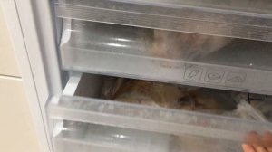 Холодильник Haier C2F537CWG. Отзыв и обзор