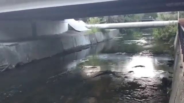 Река Яуза в городе Москва (Россия) смотреть онлайн