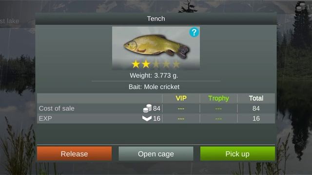 My Fishing World : Линь (Ежедневное задание, Затерянное озеро) #myfishingworld смотреть онлайн