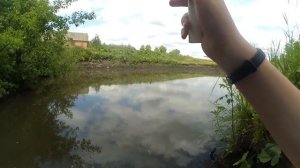 ЛОВЛЯ ЛЕТОМ НА ЗИМНЮЮ УДОЧКУ | ПОЛ МЕТРА ОТ БЕРЕГА