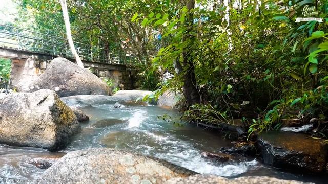 The Best Good Morning Music - Positive Energy & Stress Relief - Morning Meditation Music For Wake U