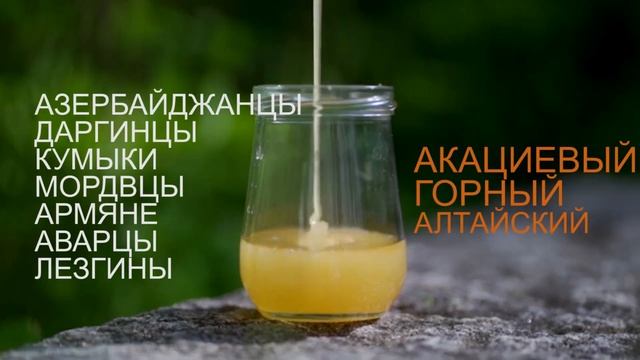 Россия - многонациональная страна. Эйяд Кикати смотреть онлайн