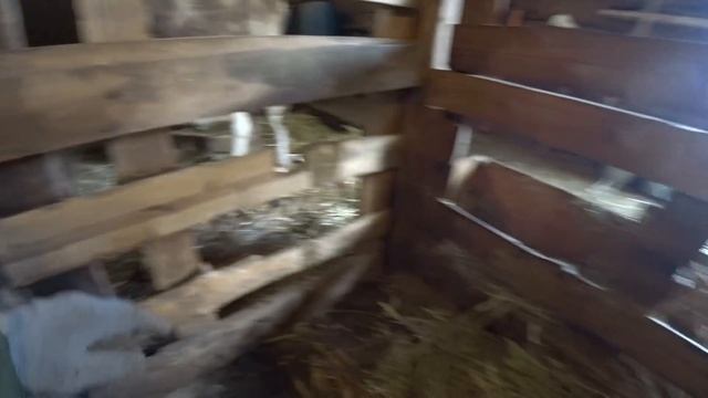 ДЕРЕВЕНСКИЕ БУДНИ / Клетки для кур / Сделал стойло / Посылка смотреть онлайн