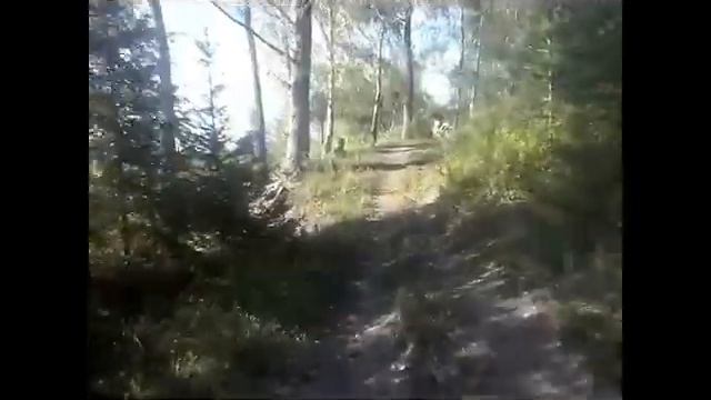 Honda mtx 80 / ENDURO смотреть онлайн