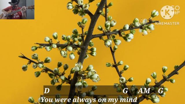 Always On My Mind (Guitar & Harmonica with Chords and Lyrics) смотреть онлайн