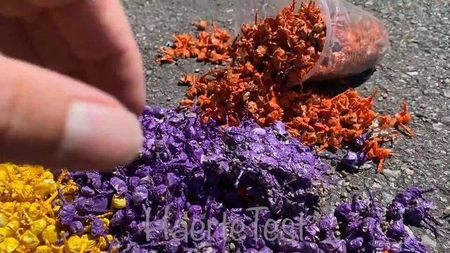 Crushing Crunchy & Soft Things by Car! EXPERIMENT: POP POP FIRECRACKERS vs CAR смотреть онлайн