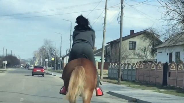 Девушка на коне 50км/ч. смотреть онлайн