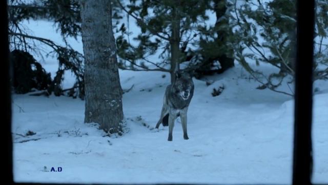 Fargo || Remember Me смотреть онлайн